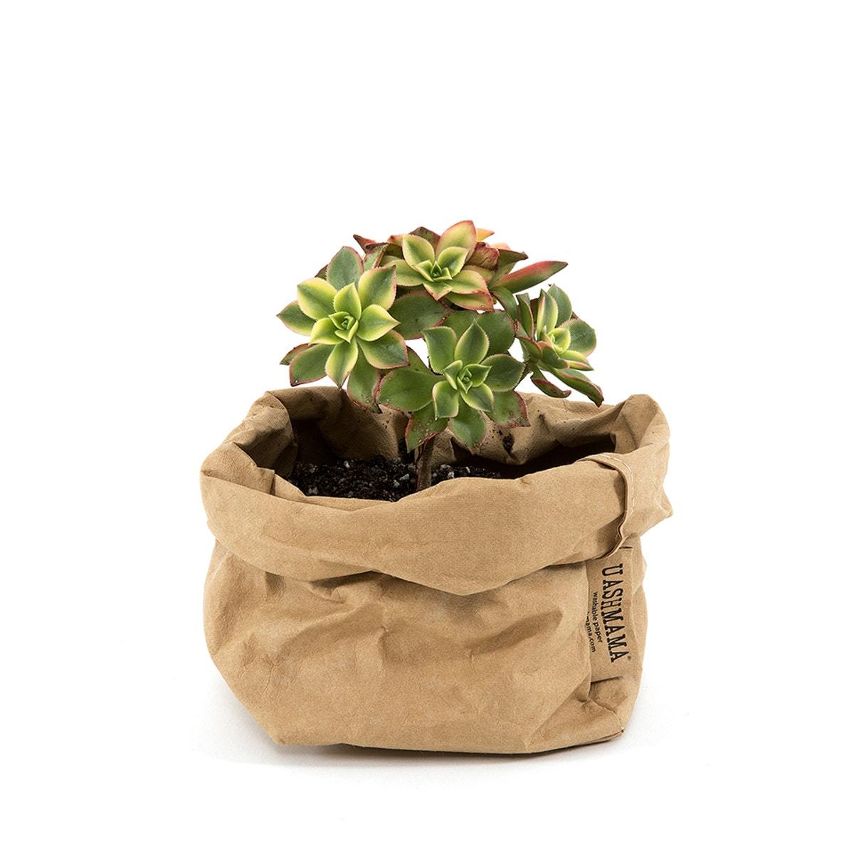 Vrecko z prateľného papiera piesková 