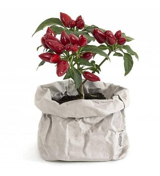 Vrecko z prateľného papiera svetlosivá