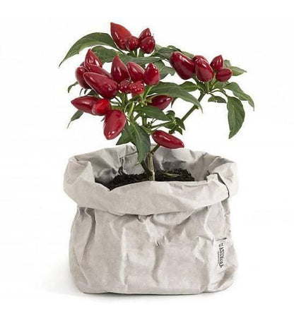 Vrecko z prateľného papiera svetlosivá